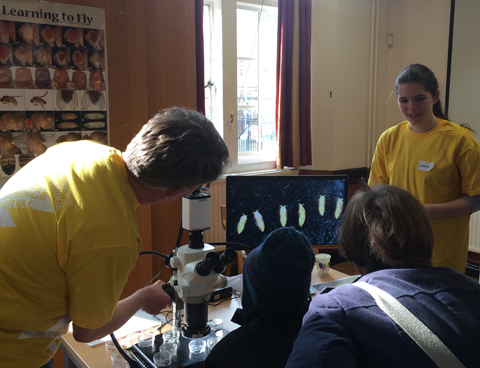 Science festival 2016 screen