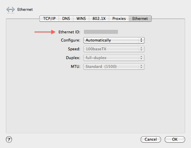 Mac Network Settings Advanced