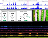 Epigenetics theme image