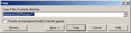 WinSCP copy dialog