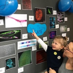 Science Festival 2019 - photo matching game