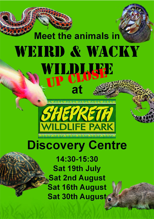 Wild and Wacky poster 2014 525