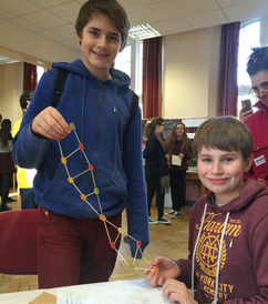 Science Festival 2016 young dna-ers 480