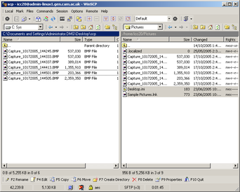 WinSCP panes