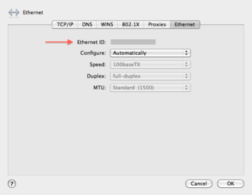 Mac Network Settings Advanced