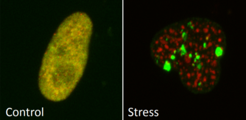 Ritwick research image