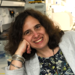 Professor Anne Ferguson-Smith