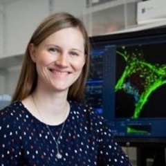Dr Antonina Kruppa