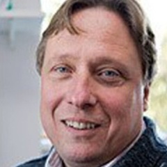 Professor Daniel St Johnston