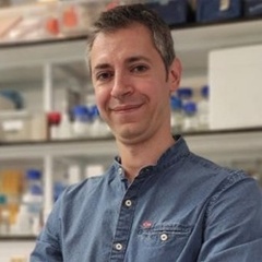 Dr Francesco Carelli