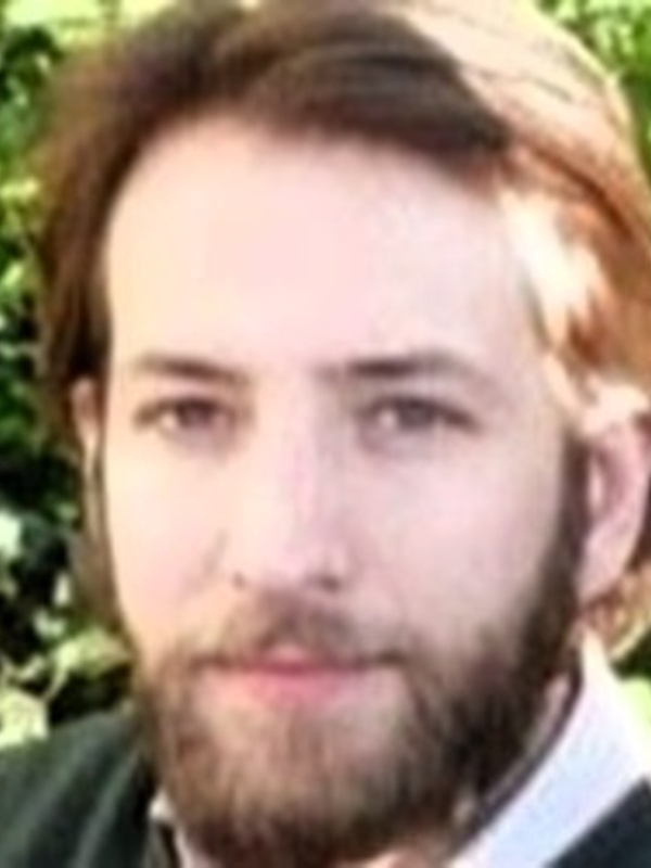 Professor Henrik Salje