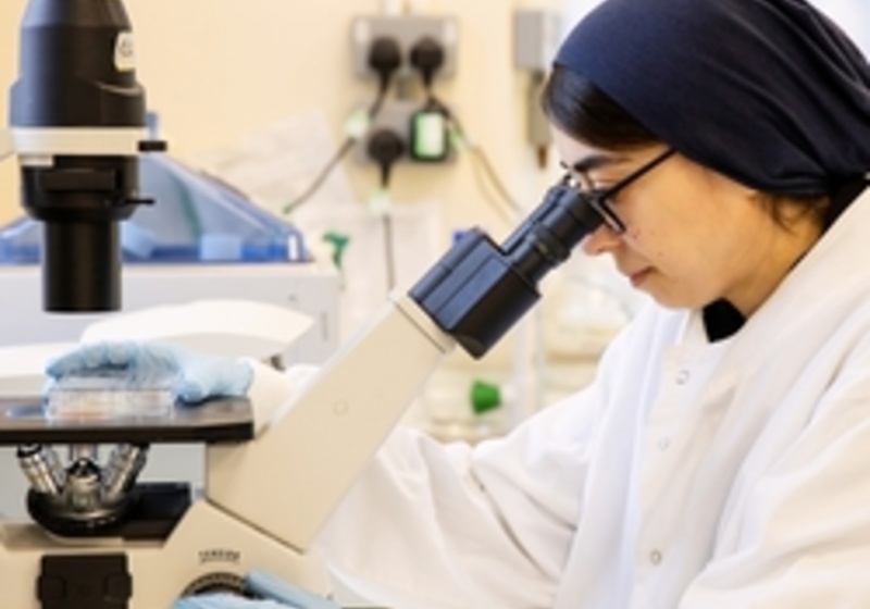 student using a microscope