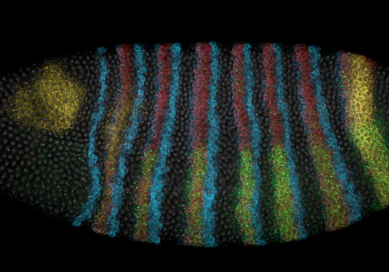 Microscopy Bioscience Platform