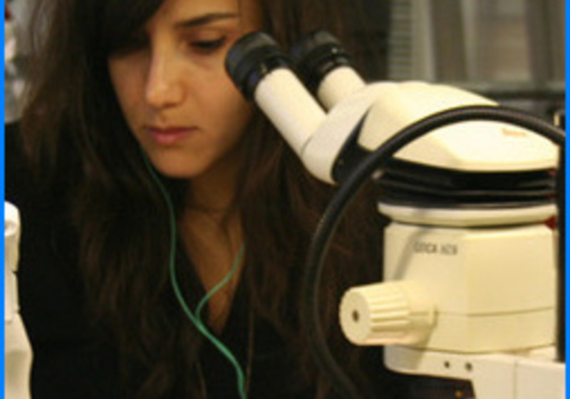 Fly Lab