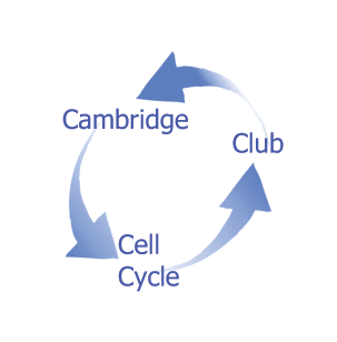 Cambridge Cell Cycle Club logo small