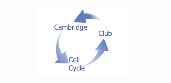 Cambridge Cell Cycle Club logo 590
