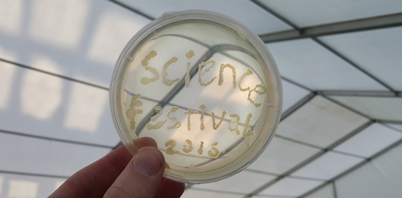 Science festival 2016 news page header